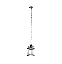 Falyn 10" Outdoor Pendant
