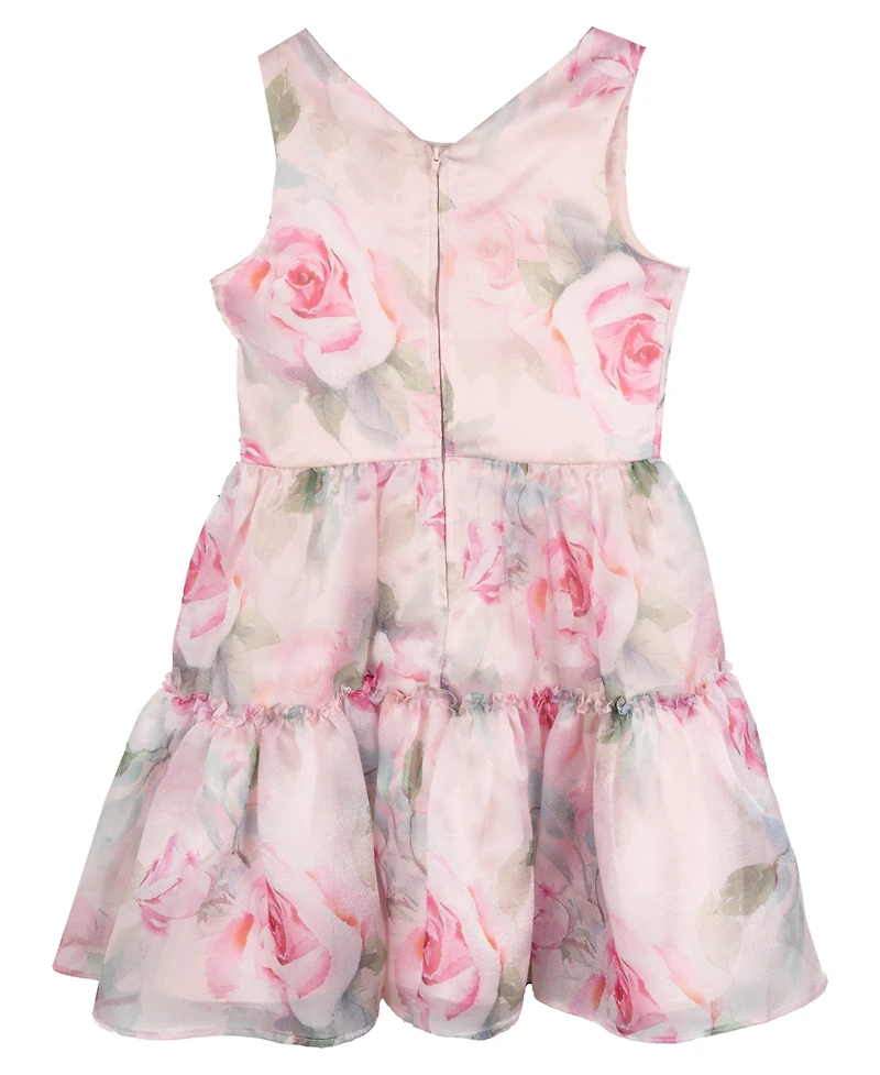 Rare Editions Big Girls Floral Organza Party Dress