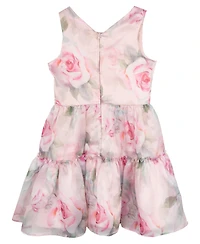 Rare Editions Big Girls Floral Organza Party Dress