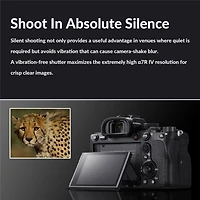 Sony Alpha a7R Iv Mirrorless Camera (V2) Bundle with Sony Fe 24-70mm f/2.8 Gm Lens, Backpack, Memory Card, Battery Pack