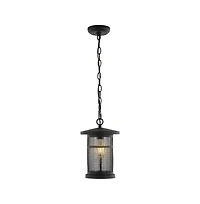 Osprey 8" Outdoor Pendant