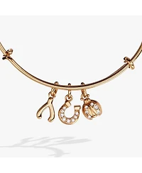 St Patricks Day Bangle Bracelet Love And Luck Muli Charm