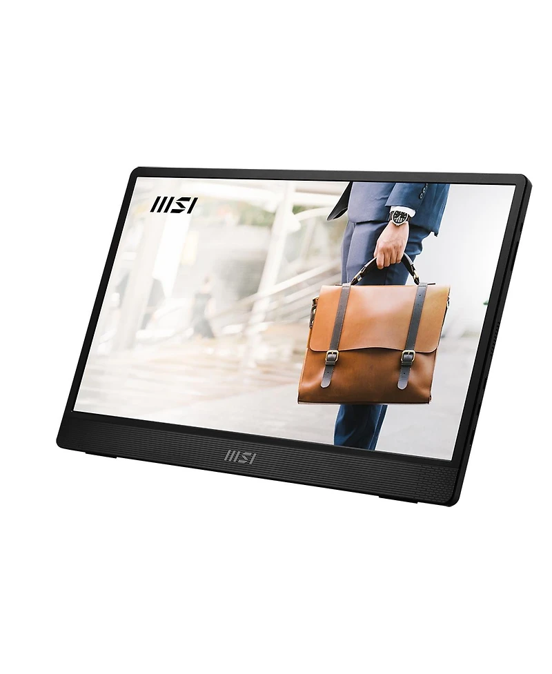 Msi Pro MP161 E2 15.6" 16:9 Full Hd Portable Ips Lcd Monitor, Metal Gray