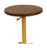 Solid Elm Wood End Table – Round Accent Table with Natural Grain for Home Interiors
