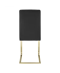 Set of 2 Modern Dining Chairs for Kitchen Table or Home Seating