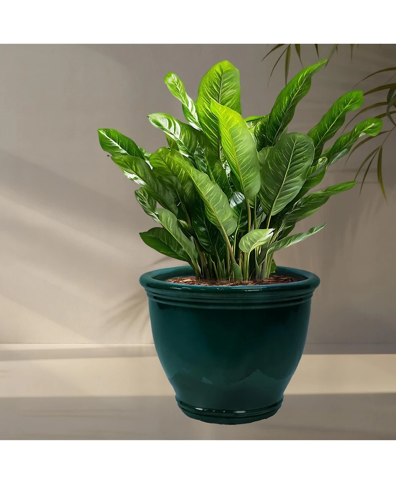 Studio Outdoor/Indoor Uv- and Frost-Resistant Ceramic Flower Pot Planter with Drainage Holes