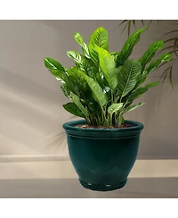 Studio Outdoor/Indoor Uv- and Frost-Resistant Ceramic Flower Pot Planter with Drainage Holes