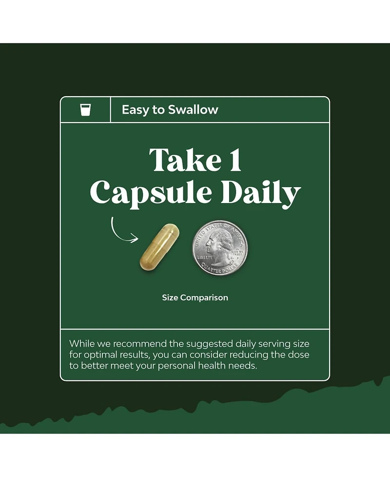 Olive Leaf Extract Capsules | High Strength Antioxidant Supplement with Pure Olive Leaf | 120ct