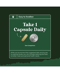 Olive Leaf Extract Capsules | High Strength Antioxidant Supplement with Pure Olive Leaf | 120ct