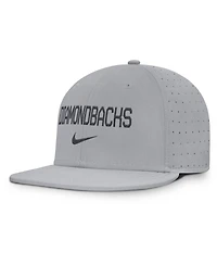 Nike Men's Gray Arizona Diamondbacks True Performance Fitted Hat