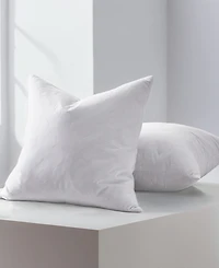 Unikome Home Decor 2-Pack Pillow Insert, 12" x 20"