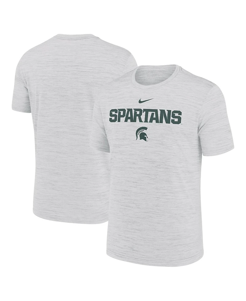 Nike Men's Ash Michigan State Spartans 2025 Sideline Velocity Performance T-Shirt