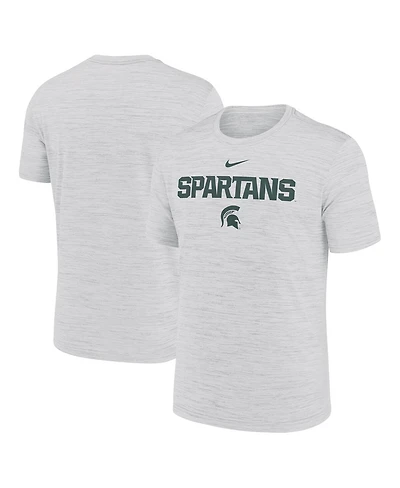 Nike Men's Ash Michigan State Spartans 2025 Sideline Velocity Performance T-Shirt