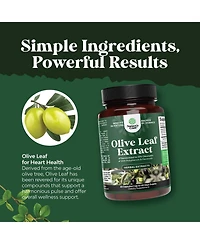 Olive Leaf Extract Capsules | High Strength Antioxidant Supplement | Pure Olive Leaf with 20% Oleuropein for Heart Health | 60ct