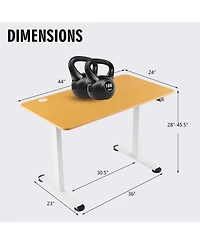 Electric Standing Desk Adjustable Stand up Computer Desk Anti-collision