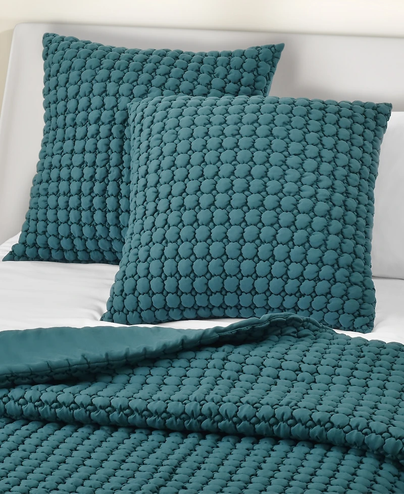 J by Queen Bold Cloud Puff Quilted Sham, European