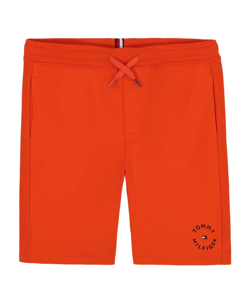 Tommy Hilfiger Little and Toddler Boys Elevated Shorts