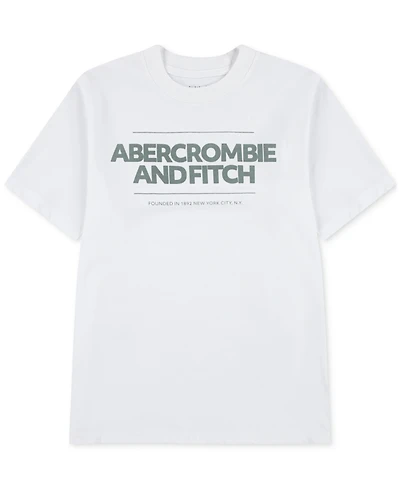 abercrombie kids Boys Cinder Block T-Shirt