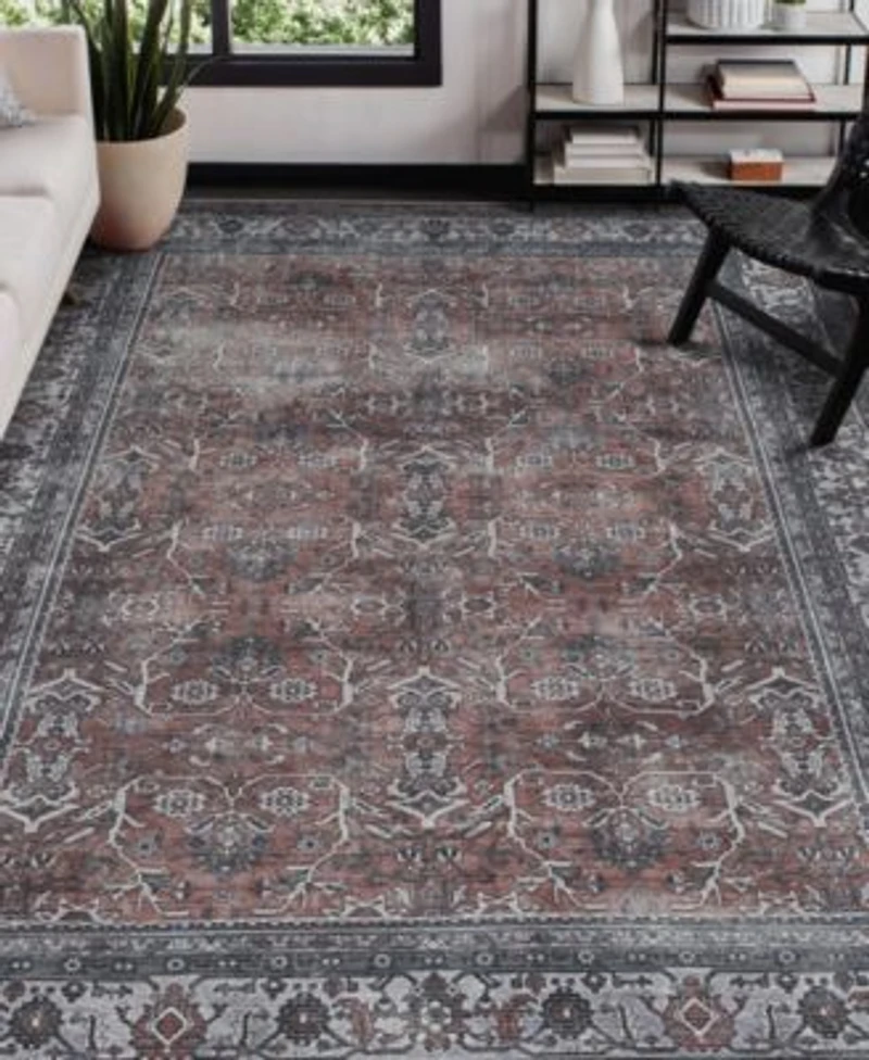 Amer Rugs Alaska Machine Washable Ala4 Rug Collection
