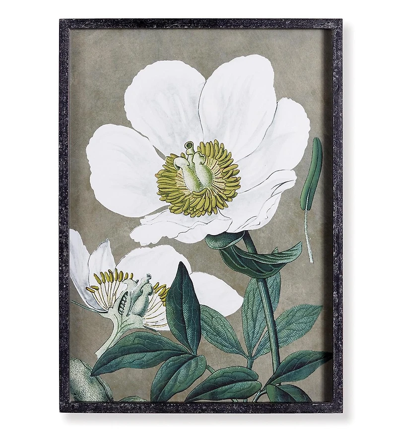 19.75" x 27.5" Stunning Poppy Floral Flower Art Prints in Fir Wood Frame w/ Glass Pane Set of 2