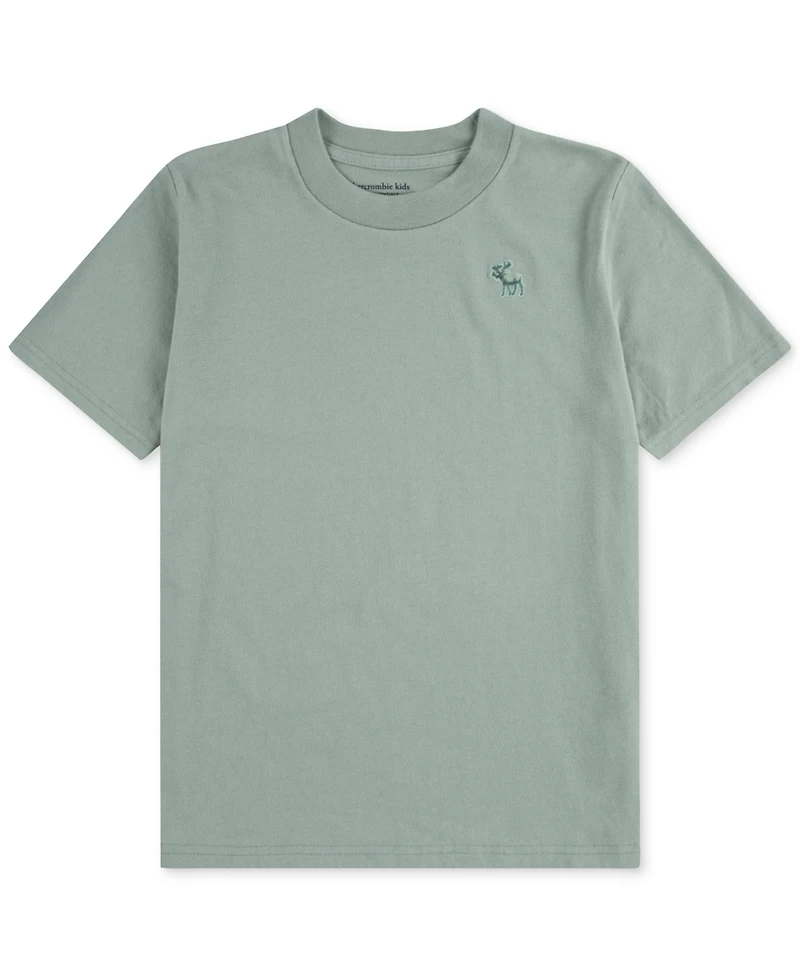 abercrombie kids Boys Essential T-Shirt