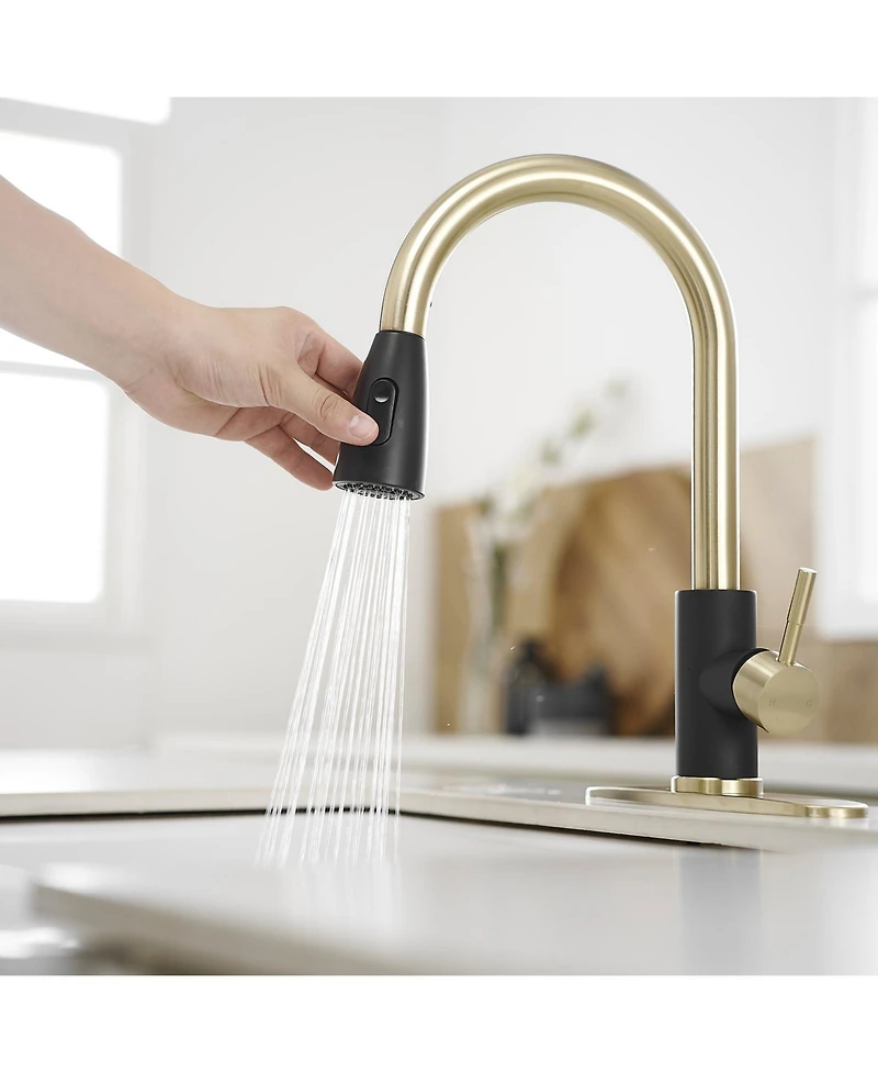 Greenspring Single-Handle Pull-Out Sprayer Kitchen Faucet with Supply Lines in Matte Black and Brushed Nickel