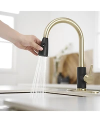 Greenspring Single-Handle Pull-Out Sprayer Kitchen Faucet with Supply Lines in Matte Black and Brushed Nickel
