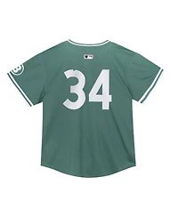 Nike Toddler David Ortiz Green Boston Red Sox 2025 City Connect Limited Retired Player Jersey