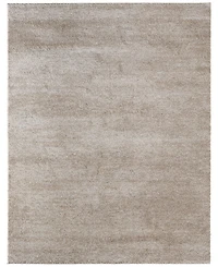 Feizy Jameson 39R8F 6'7"x9'6" Area Rug