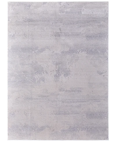 Feizy Prasad 39N8F 5'x8' Area Rug