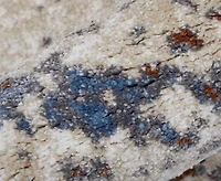 Feizy Gilmore 39MLF 5'3"x8' Area Rug