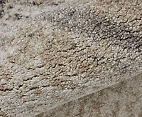 Feizy Skyview 39QAF 5'x7'6" Area Rug
