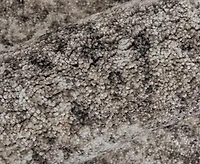 Feizy Skyview 39QCF 2'6"x7'3" Runner Area Rug