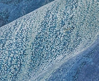Feizy Anya 8921F 2'x3' Area Rug