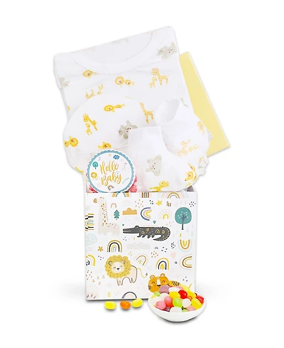 Alder Creek Gift Baskets Baby Gift Box, 4 Pieces