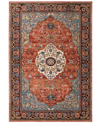 Closeout Karastan Spice Market Petra Area Rug Collection
