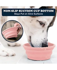 Slow-Feeder, Non-Skid, Bpa-Free Silicone Travel Dog Bowl