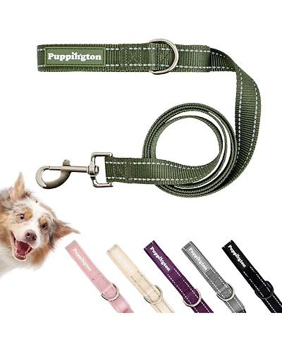 Puppington Reflective Leash