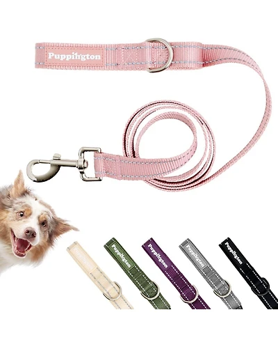 Puppington Reflective Leash