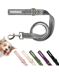 Puppington Reflective Leash