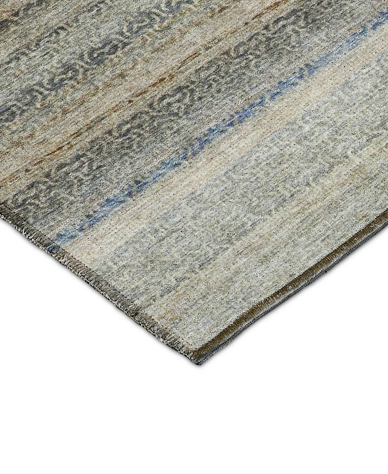 Dalyn Burano Washable BU5 10'x14' Area Rug