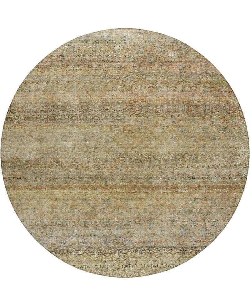 Dalyn Burano Washable BU12 8'x8' Round Area Rug