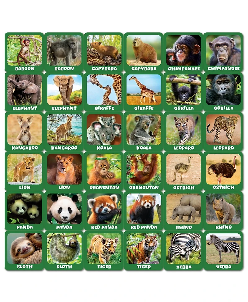 Jr. Zookeeper Matching Game