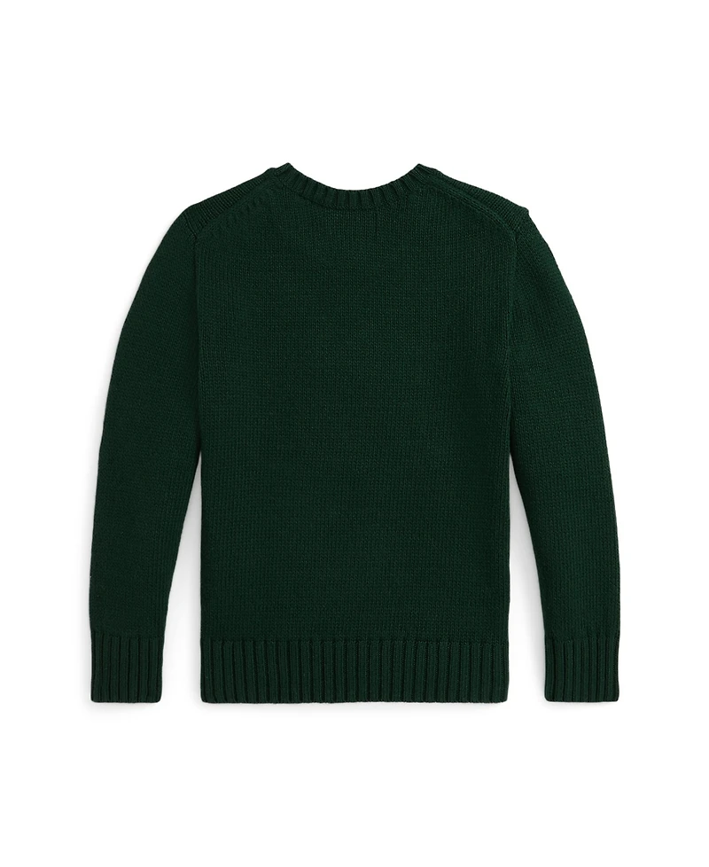 Polo Ralph Lauren Toddler and Little Boys Quilted Shirt Sweater