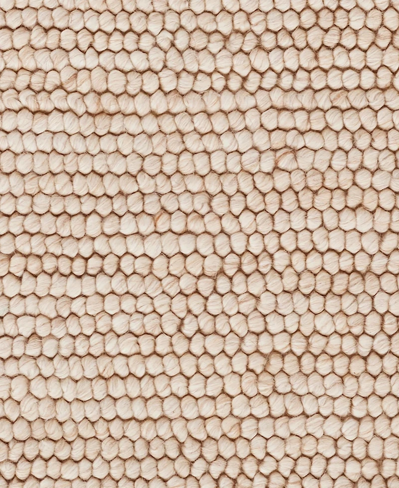 Dash and Albert Rugs by Annie Selke Niels DA809 2'x3' Area Rug