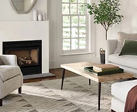 Dash and Albert Rugs by Annie Selke Masinissa RDA327 3'x5' Area Rug