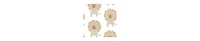 Hudson Baby Infant Boys Cotton Flannel Receiving Blankets 7pk, Modern Lion, One