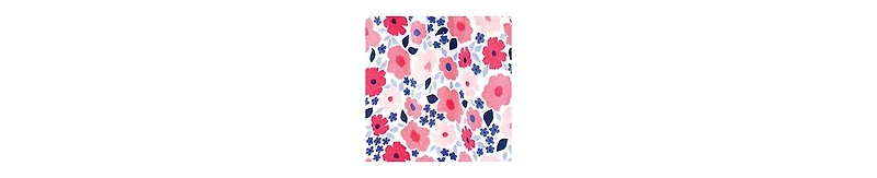 Hudson Baby Girls Twin Dress Pack