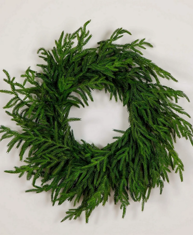 Nearly Natural 24" Artificial Touch Norfolk Island Pine Wreath with Natural Look