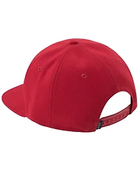 Jordan Big Boys Jumpman Air Cap